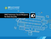 DMZ Secure Gateways: Secret Weapons for Data Security, the white paper